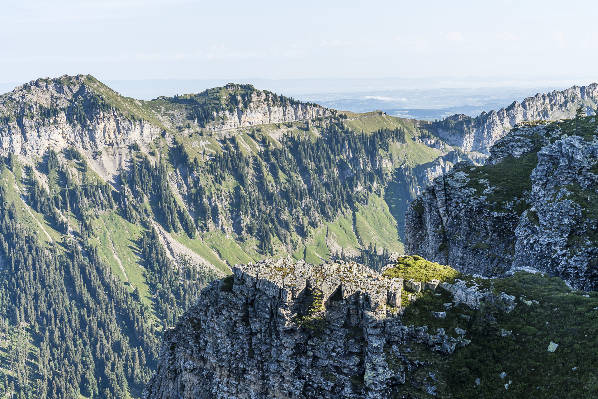 Wildlife watching at the Niederhorn