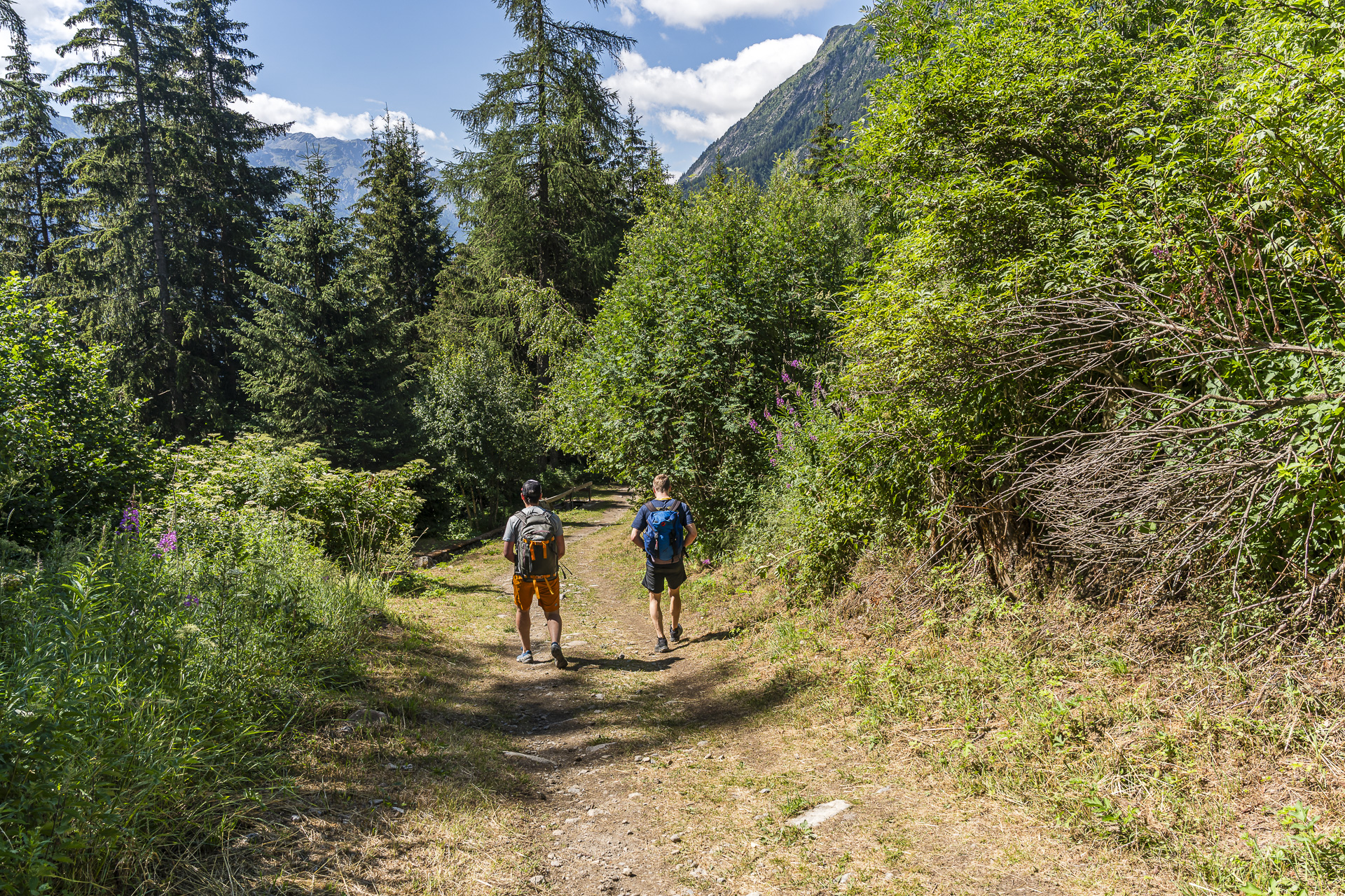 Hiking in Champex-Lac