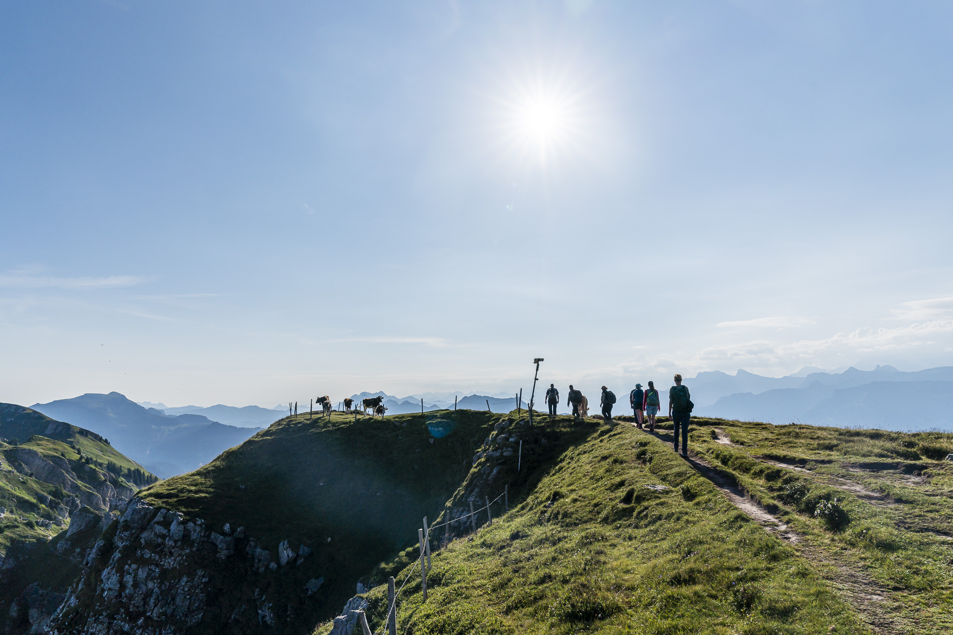 Wildlife-watching tour at the Niederhorn