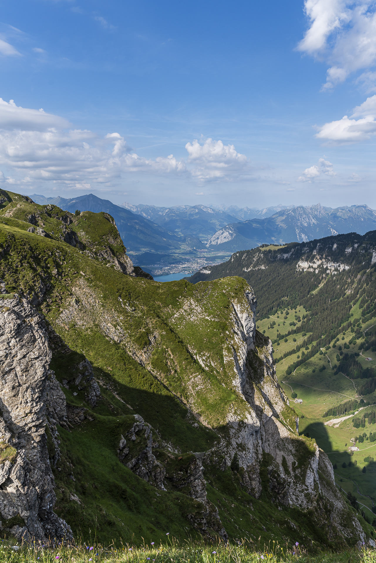 Niederhorn panorama
