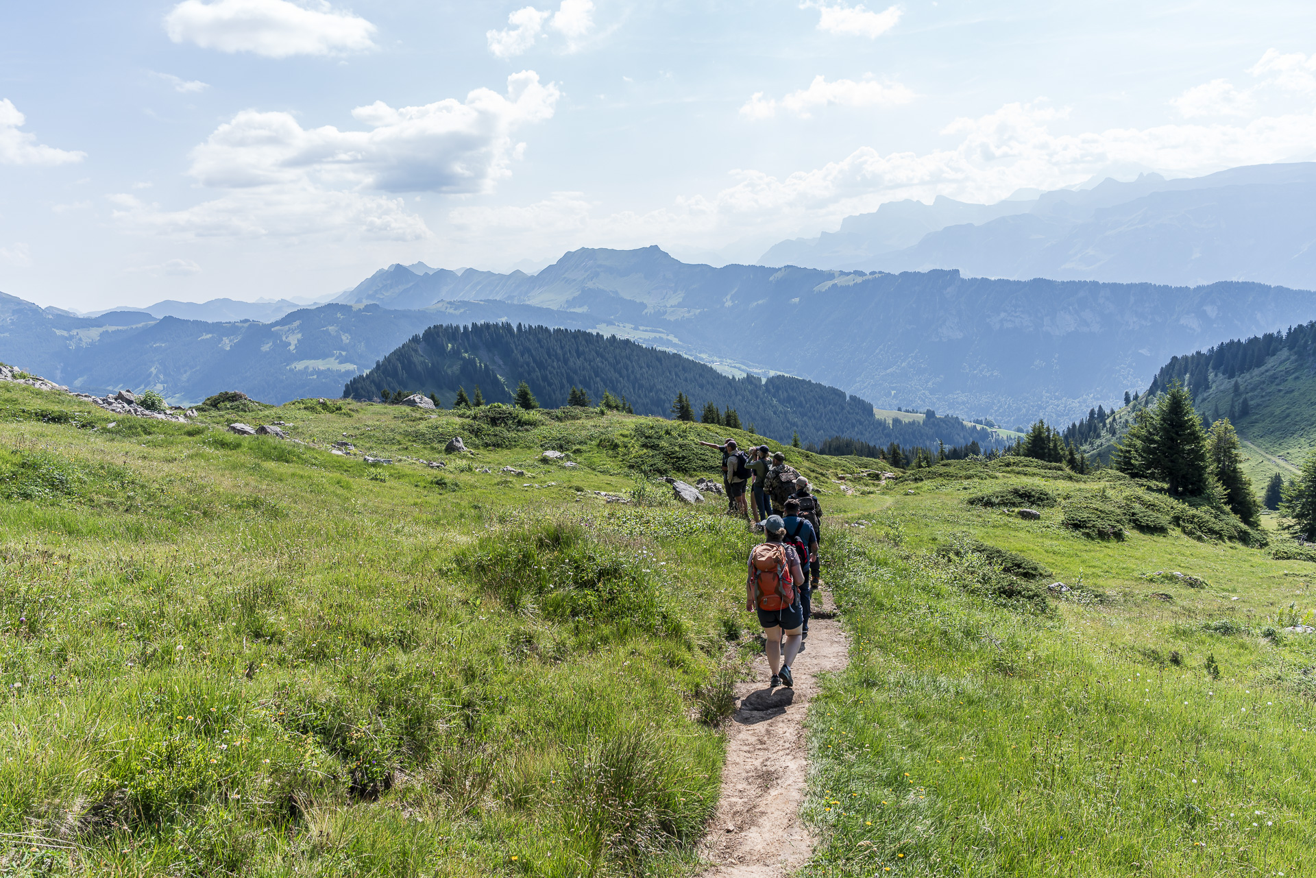 Wildlife watching at the Niederhorn