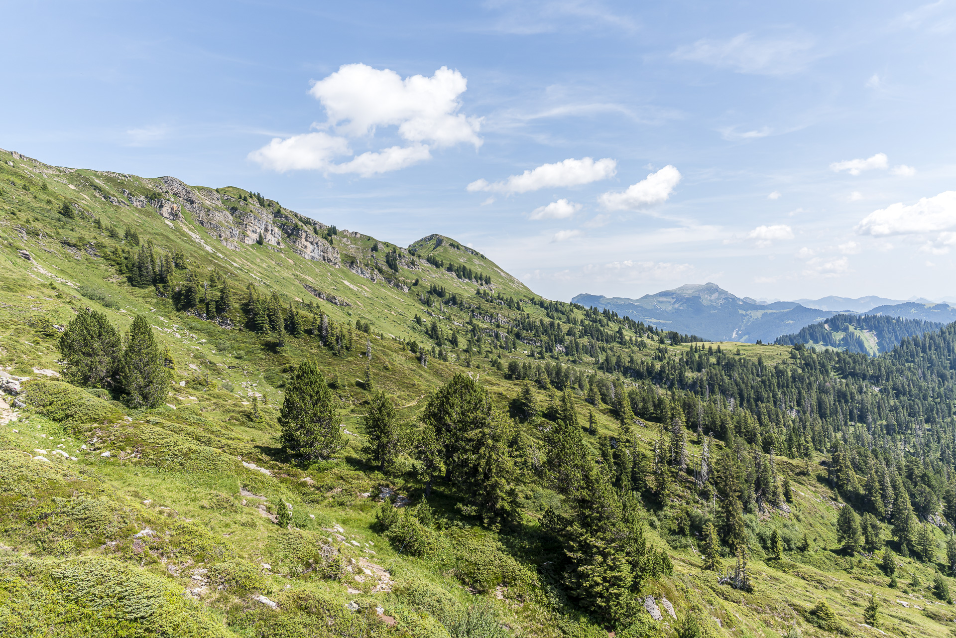 Hiking area at the Niederhorn
