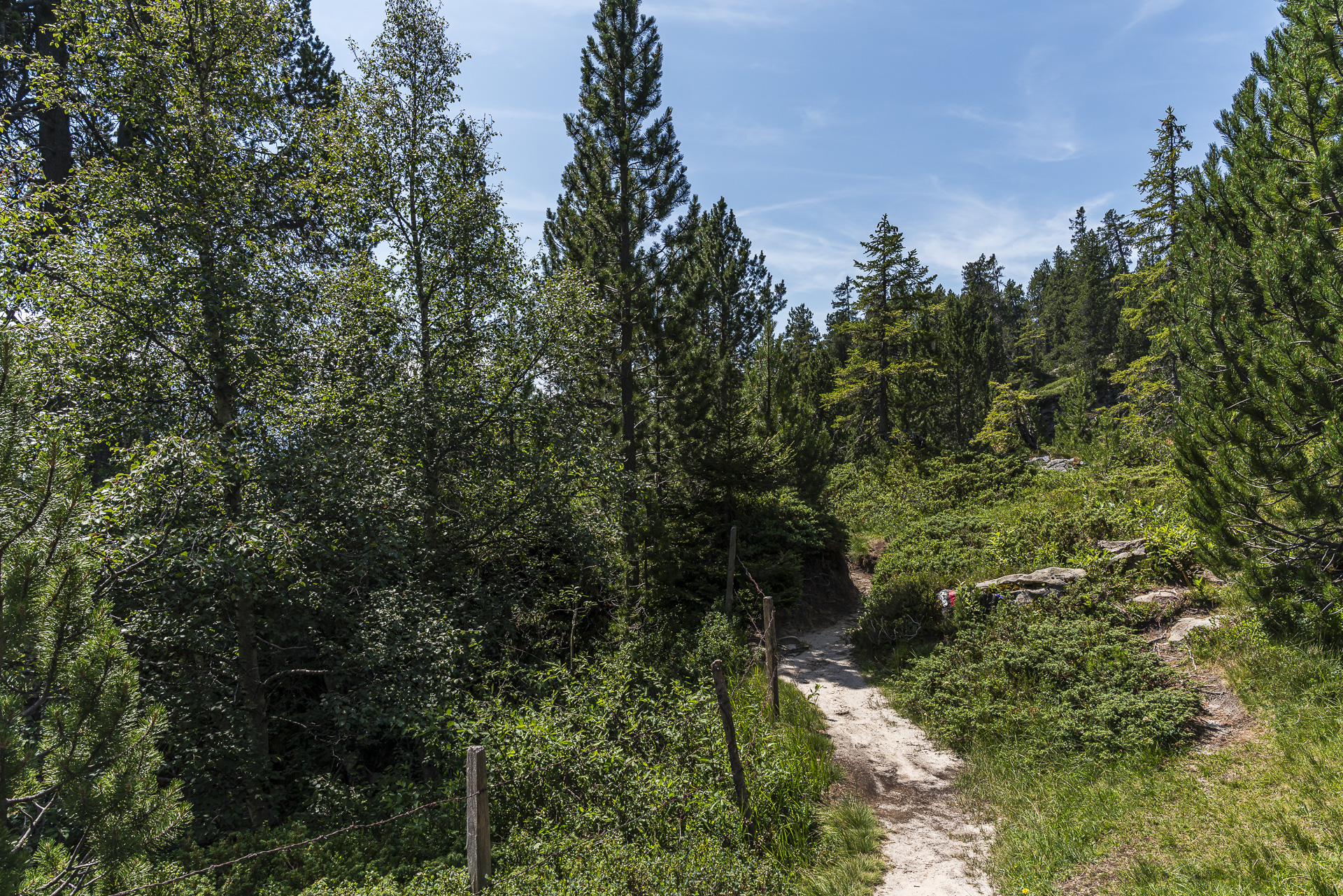 Trail towards Vorsass