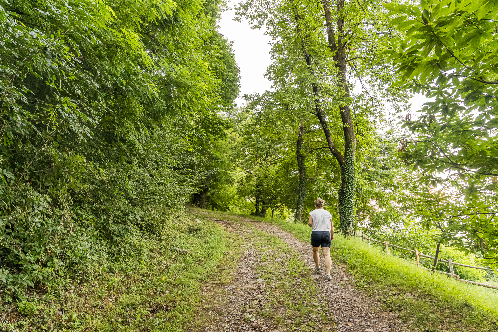 Wanderung zum Fragsburger Wasserfall