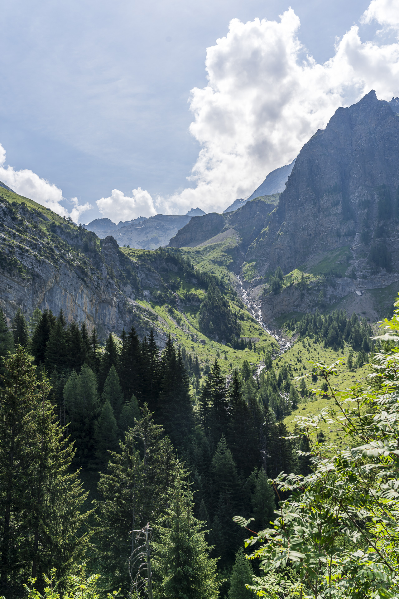 Ammerte stream