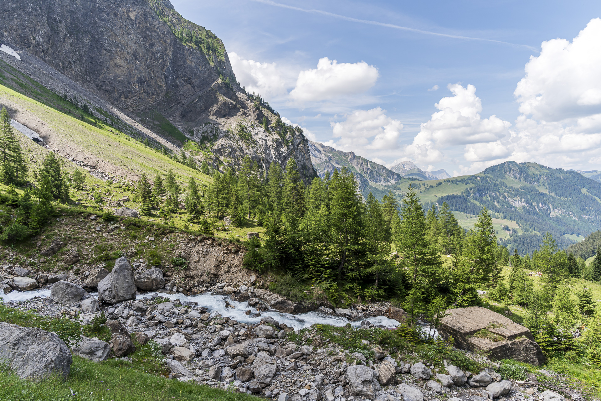 Ammerten stream (Simmental)