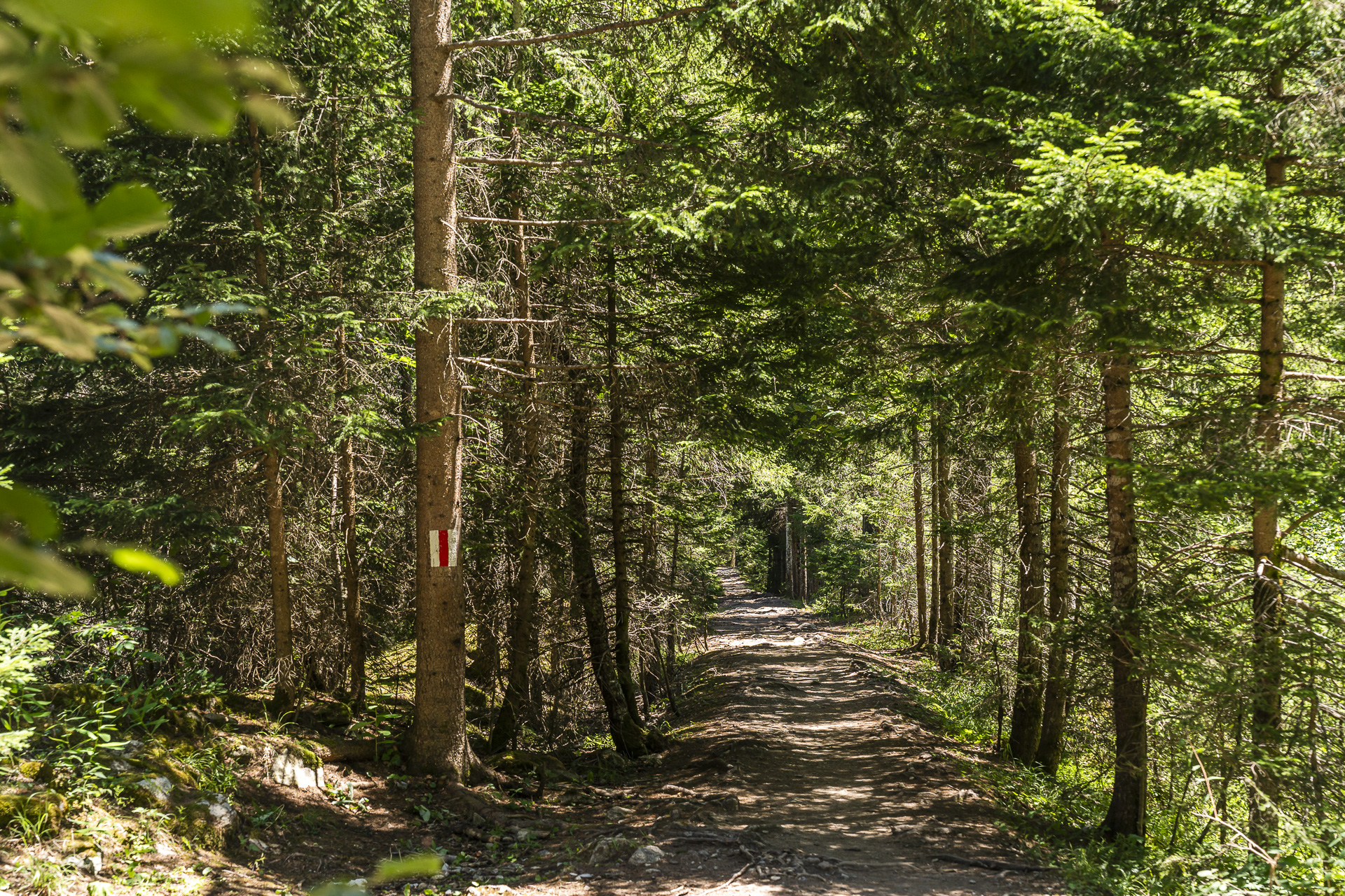 Hiking trail from Champex-Lac to La Fouly