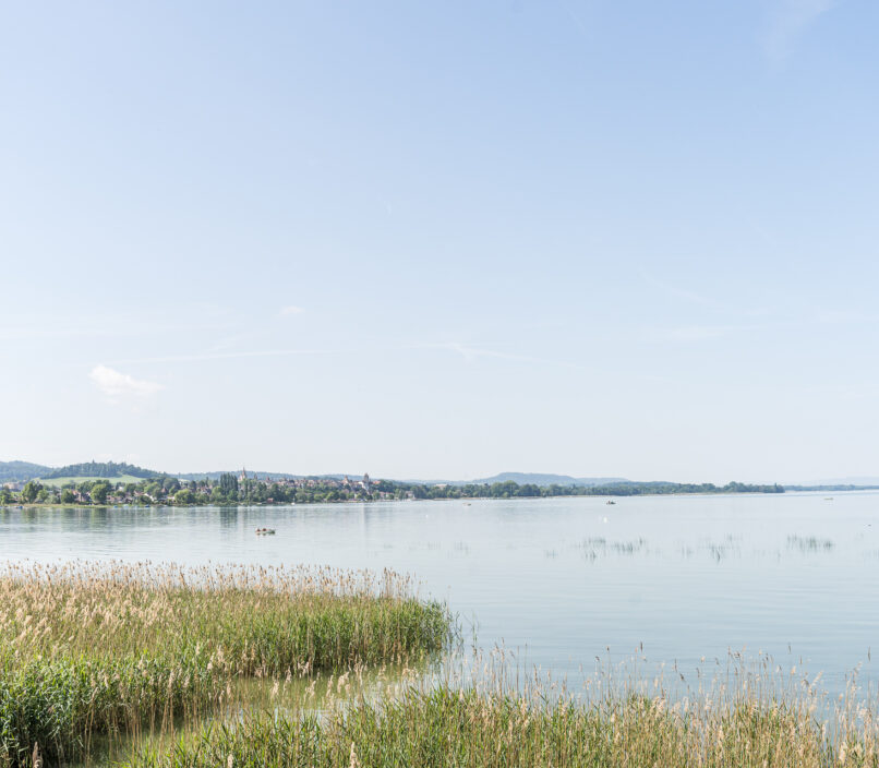 Lake Murten with a view of Murten in spring