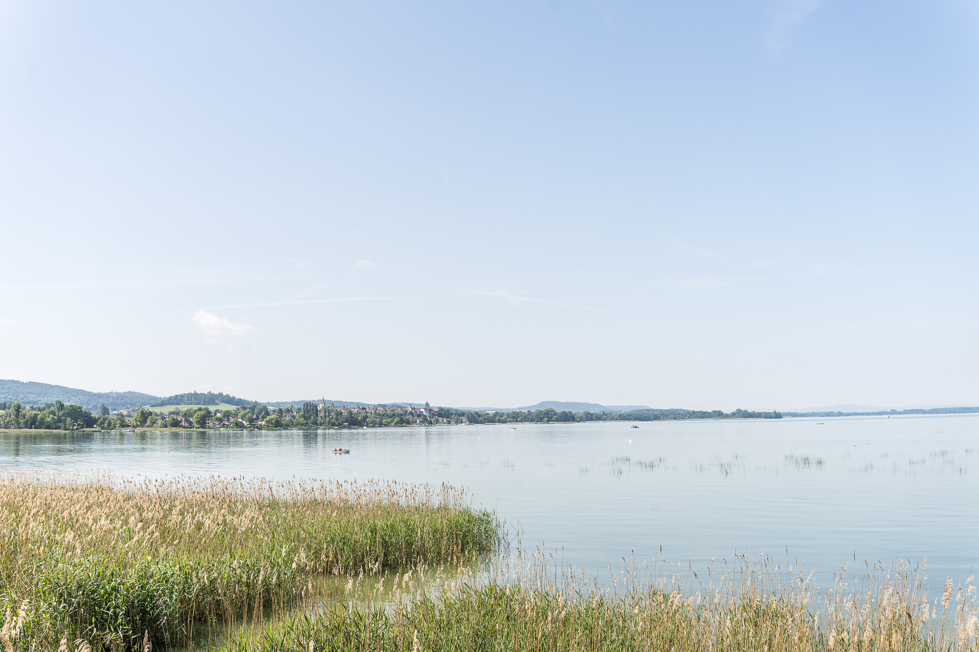 Lake Murten with a view of Murten in spring