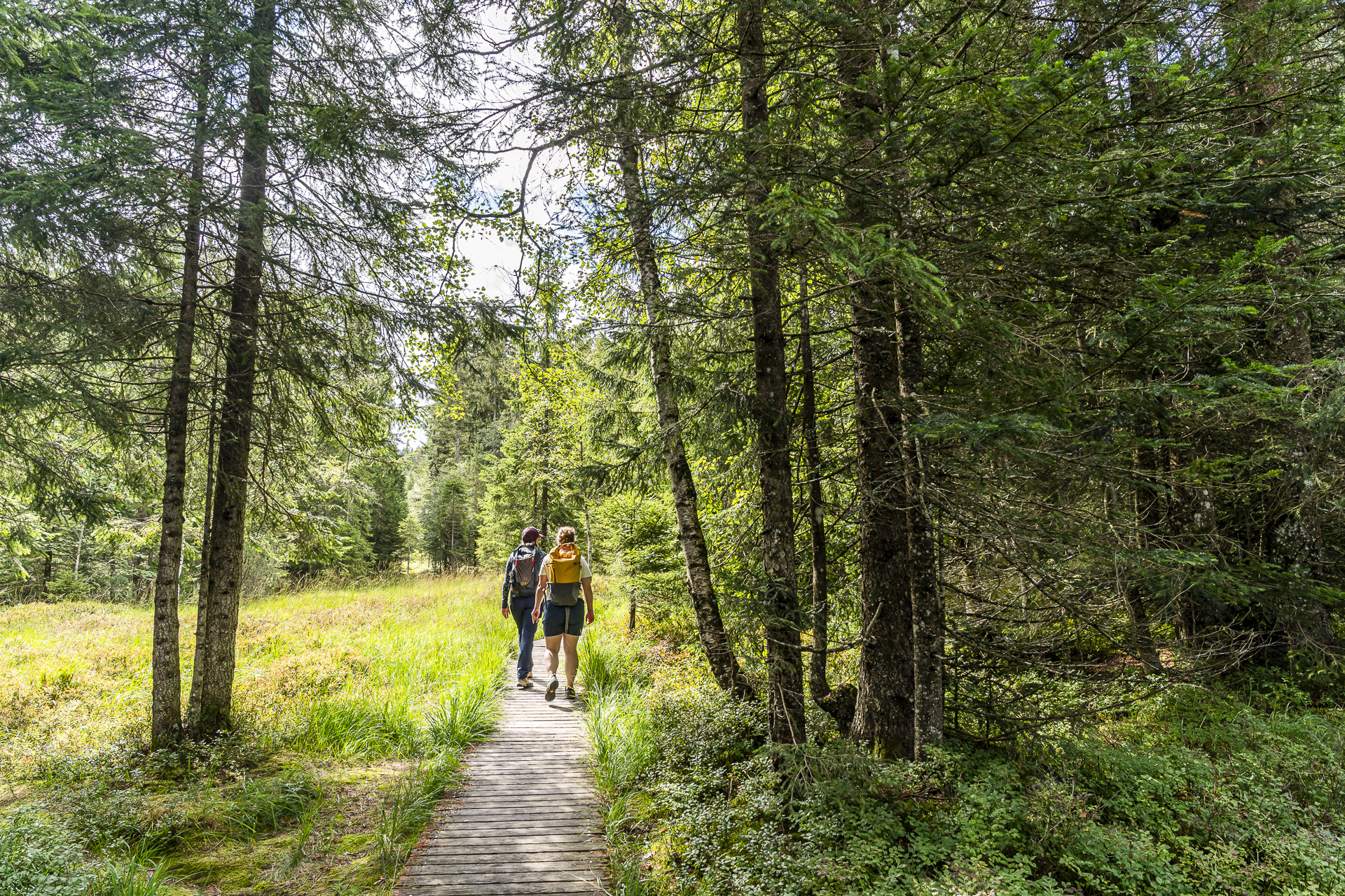 Hiking in the Fohramoos at the Bödele