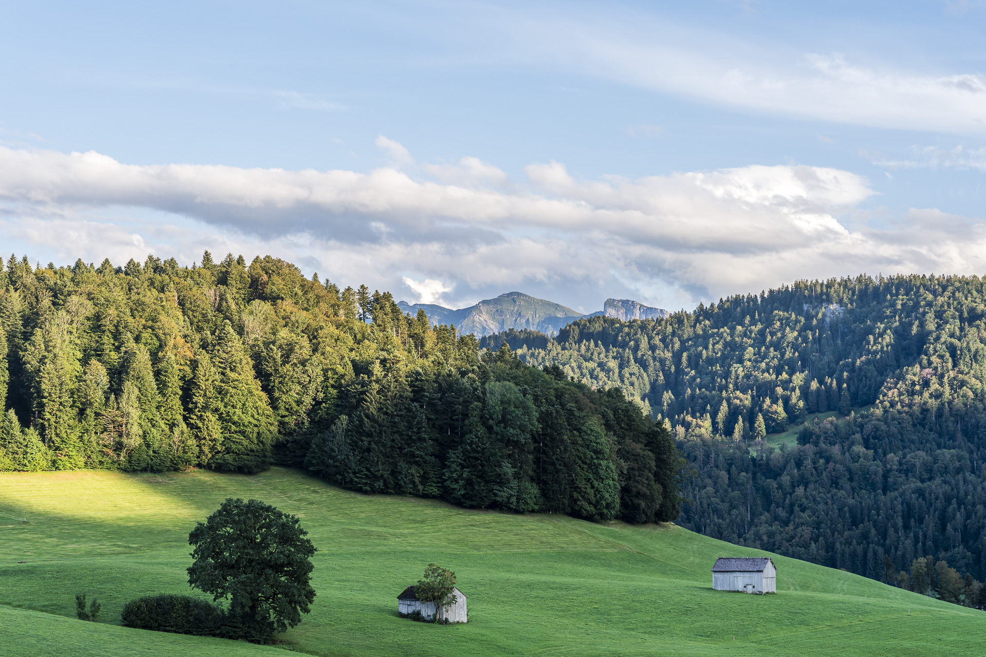 Schwarzenberg, Vorarlberg