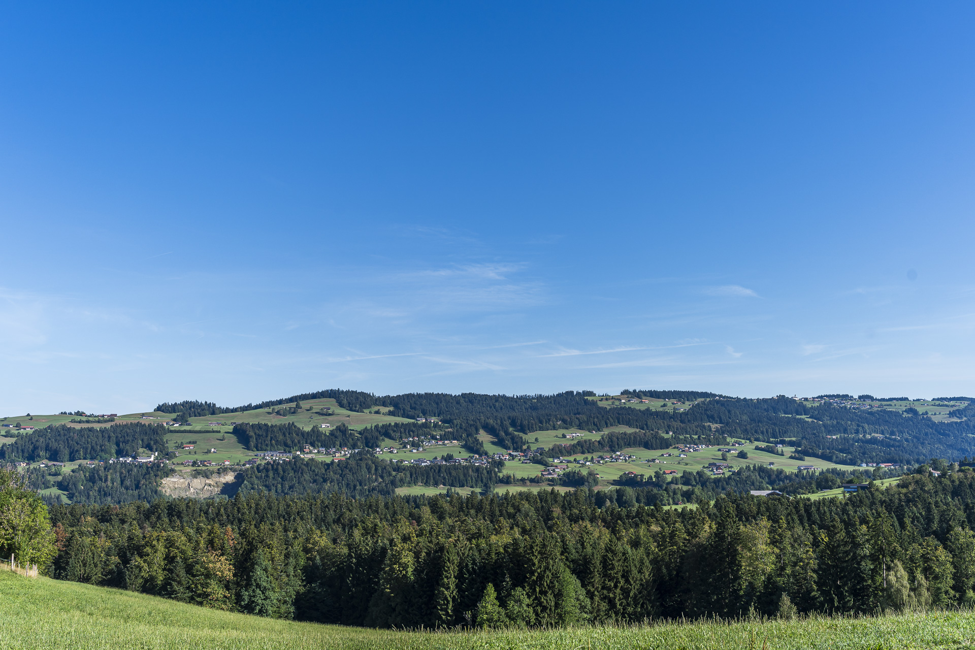 Bregenz Forest