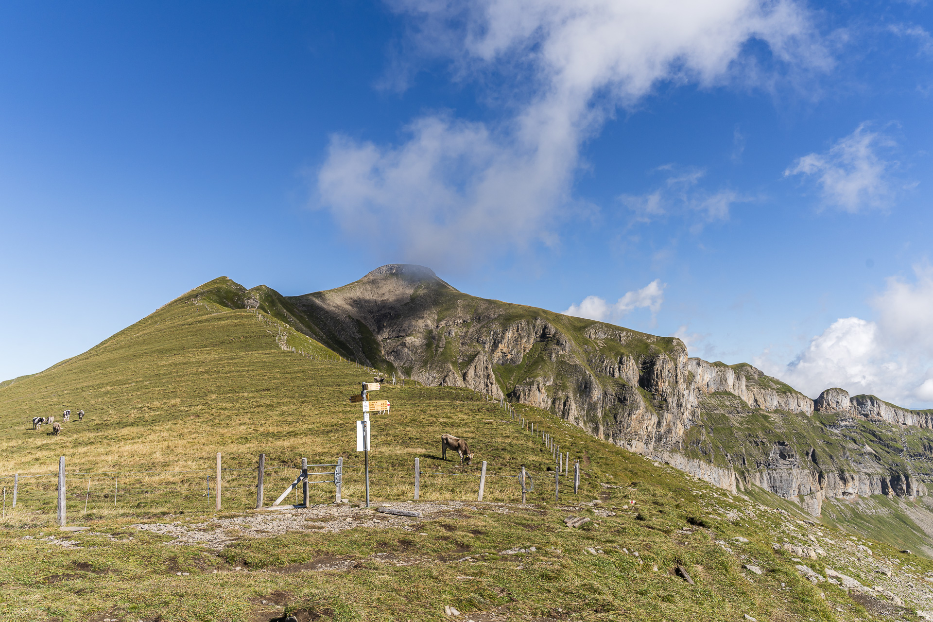 Signpost on the Bannalper Schonegg