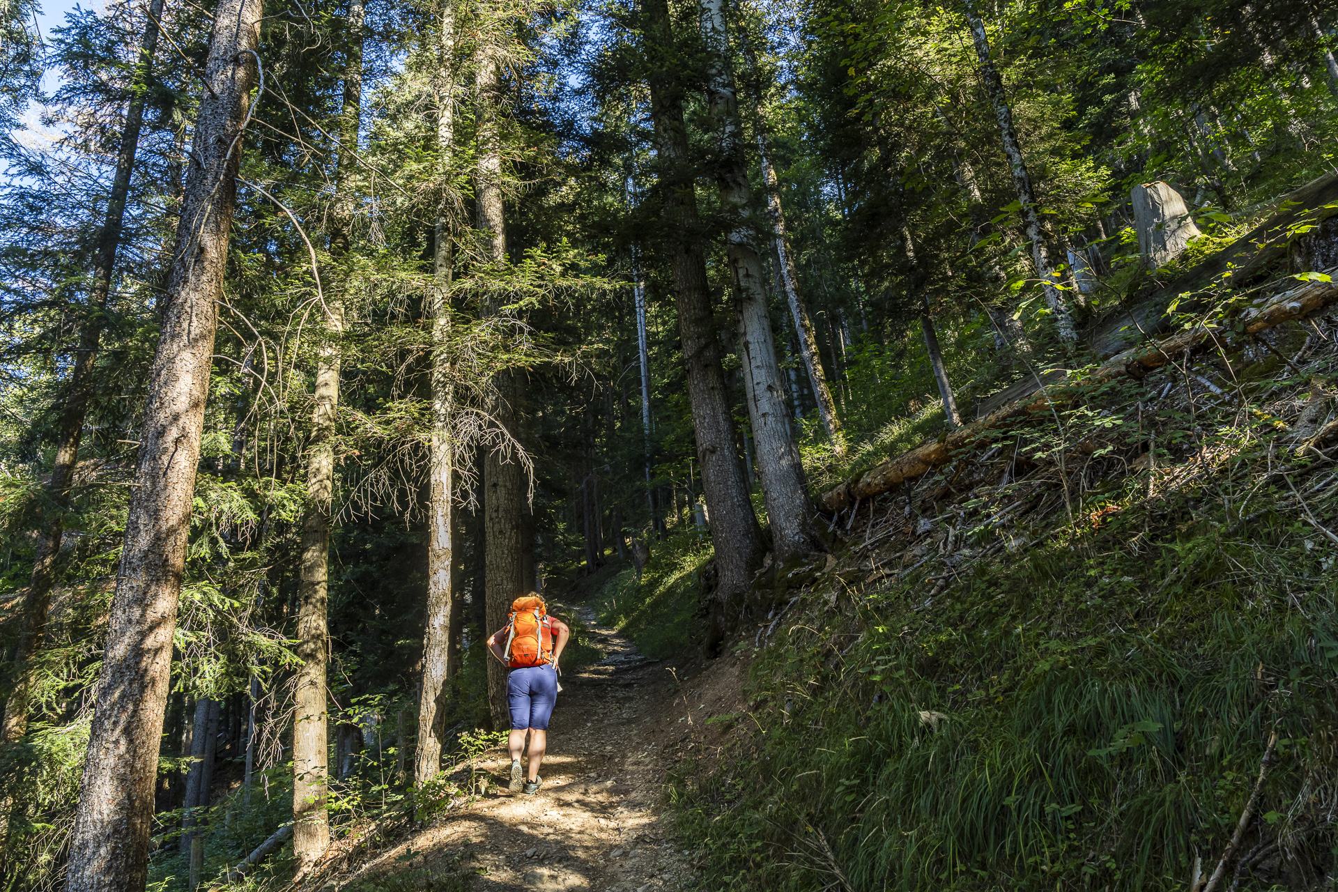 Sentier de randonnée à Blankenburg dans le Simmental