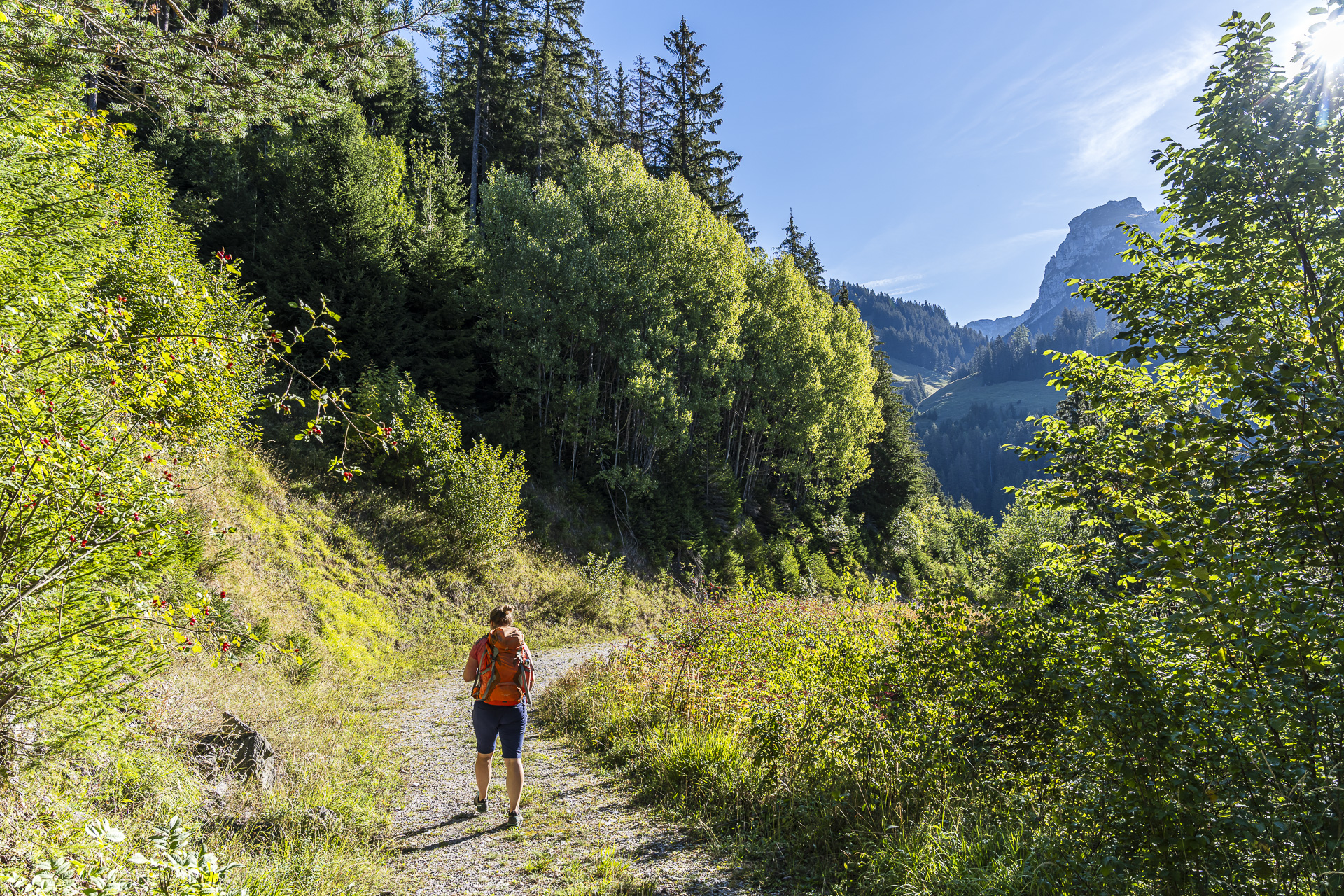 Sentier vers la Scheidegg