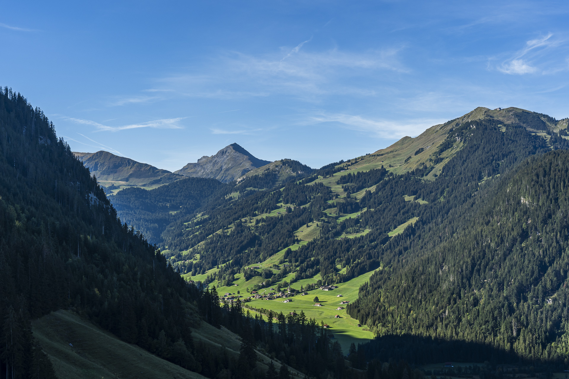 Vue sur le Simmental