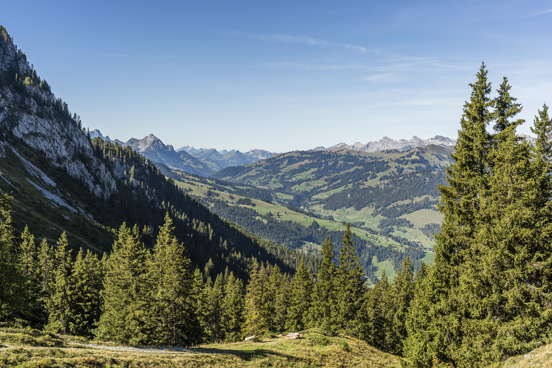 Vue panoramique sur le Simmental
