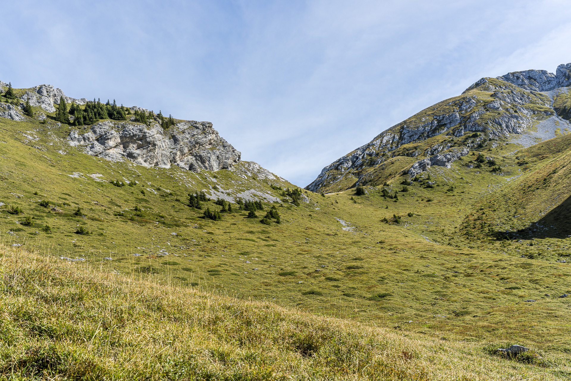 Vue en direction de la Scheidegg