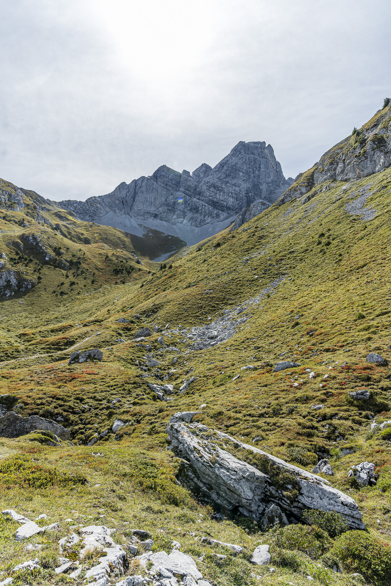 Vue depuis la Scheidegg sur les Spillgerten