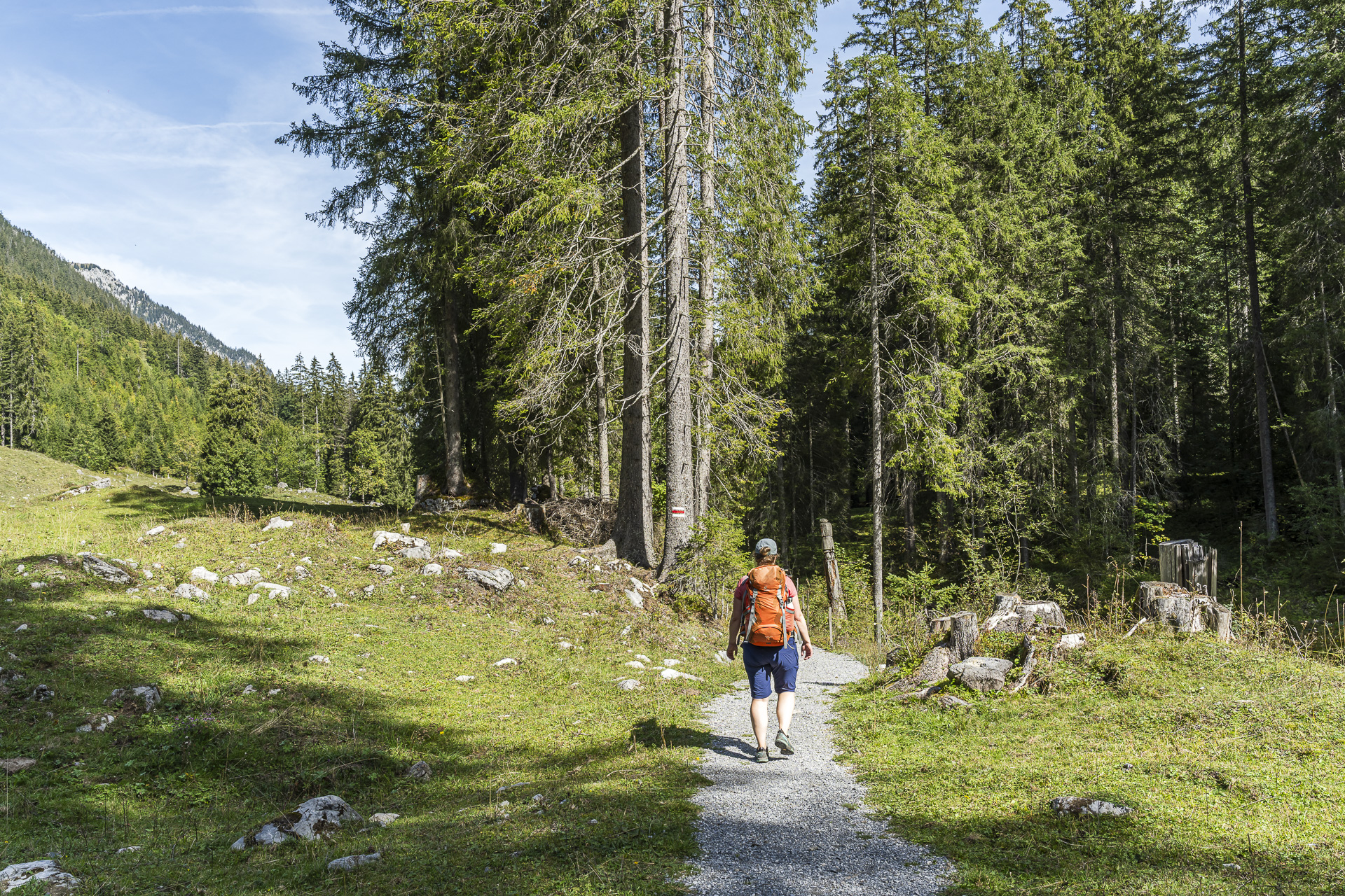 Senggibach Grimmialp