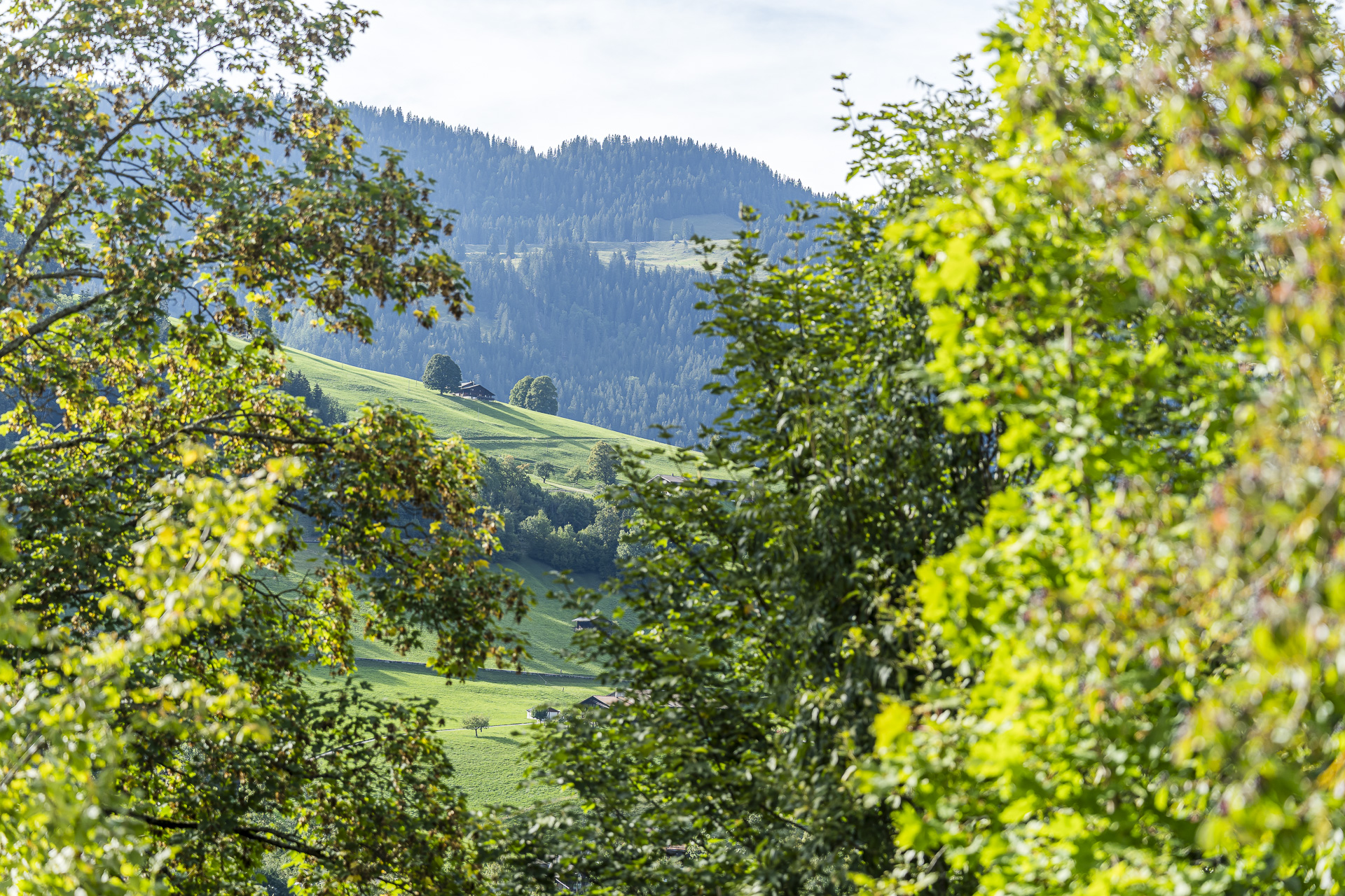 Vue depuis le château de Blankenburg